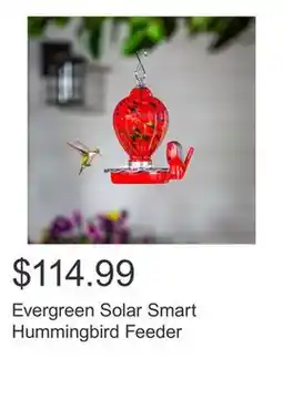 Costco Evergreen Solar Smart Hummingbird Feeder offer