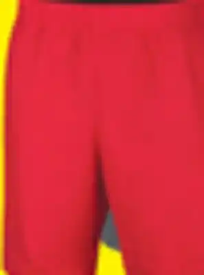 Big 5 Nike Men's 9 Multi-Purpose Volley Swim Trunks offer