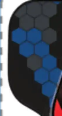 Big 5 GAMMA Fusion Pro Pickleball Paddle offer
