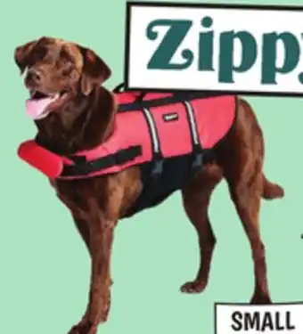 Ollie's ZIPPY PAWS ADVENTURE LIFE JACKETS offer