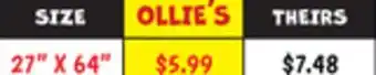 Ollie's 27 X 64 LIGHT FILTERING WINDOW BLINDS offer