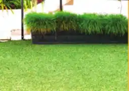 Ollie's INDOOR/OUTDOOR AND GRASS CARPET offer