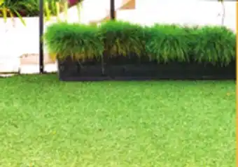 Ollie's INDOOR/OUTDOOR AND GRASS CARPET offer