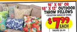 Ollie's 16 X 16 OR 18 X 12 OUTDOOR THROW PILLOWS offer