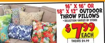 Ollie's 16 X 16 OR 18 X 12 OUTDOOR THROW PILLOWS offer