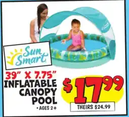 Ollie's SUN SMART 39 X 7.75 INFLATABLE CANOPY POOL offer