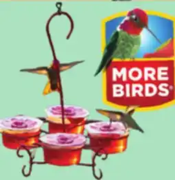 Ollie's MORE BIRDS PODS WITH HANGER offer