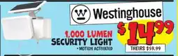 Ollie's WESTINGHOUSE 1,000 LUMEN SECURITY LIGHT offer