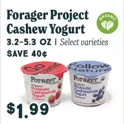 Market of Choice Forager project cashew yogurt offer