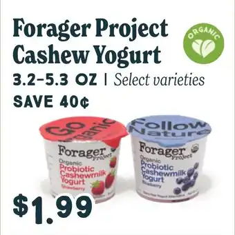 Market of Choice Forager project cashew yogurt offer