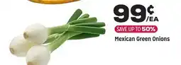 Grocery Outlet Mexican Green Onions offer