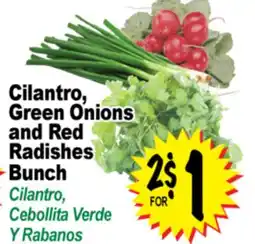 Superior Grocers Cilantro, Green Onions and Red Radishes Bunch offer