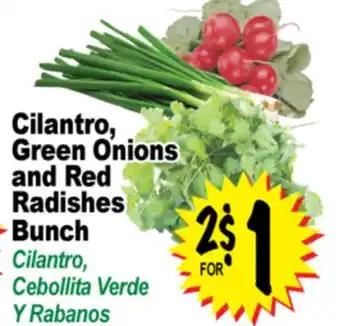 Superior Grocers Cilantro, Green Onions and Red Radishes Bunch offer