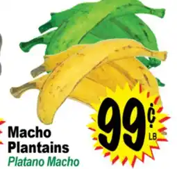 Superior Grocers Macho Plantains offer