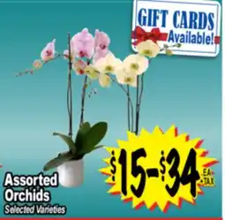 Superior Grocers Assorted Orchids offer