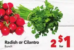 Vallarta Supermarkets Radish or Cilantro offer