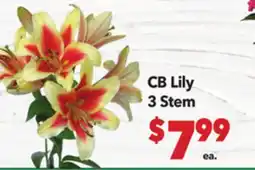 Vallarta Supermarkets CB Lily 3 Stem offer