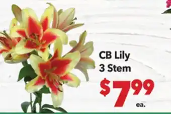 Vallarta Supermarkets CB Lily 3 Stem offer