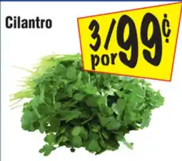 El Super Cilantro offer