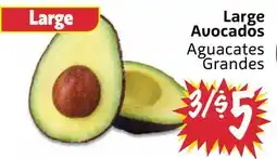 Foodmaxx Large Avocados offer