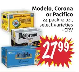 Foodmaxx Modelo, Corona or Pacifico offer