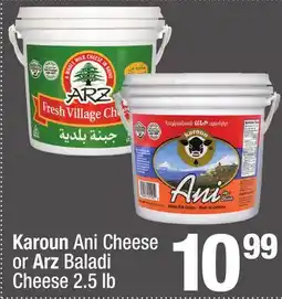 Super King Markets Karoun Ani Cheese or Arz Baladi Cheese offer