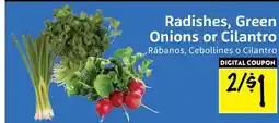 Foodmaxx Radishes, Green Onions or Cilantro offer