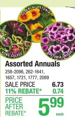 Menards Assorted Annuals offer