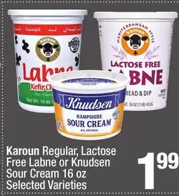 Super King Markets Karoun Regular, Lactose Free Labne or Knudsen Sour Cream offer