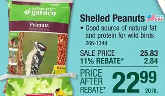 Menards Enchanted Garden Peanuts Premium Wild Bird Food - 20 lb offer