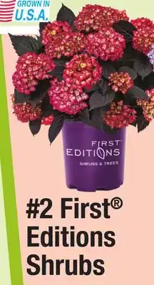 Menards 2 First Editions Shrubs offer
