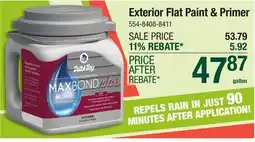 Menards Dutch Boy Maxbond Plus Exterior 100% Acrylic Flat Polka Dot Paint + Primer - 1 gal offer