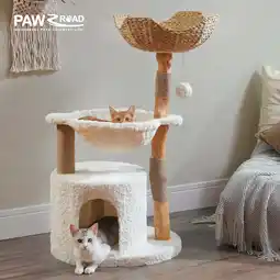 Walmart PAWZ Road Modern Cat Tree Natural Branch Cat Tower Luxury Furniture with Scratching Posts, White offer