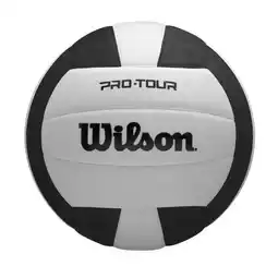 Walmart Wilson Pro Tour Volleyball offer