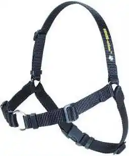 Walmart SENSE-ation No-Pull Dog Harness offer