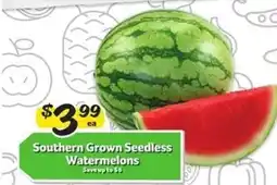 Winn Dixie Southern Grown Seedless Watermelons offer