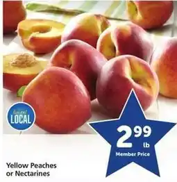 Safeway Yellow Peaches or Nectarines offer