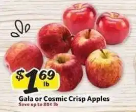 Winn Dixie Gala or Cosmic Crisp Apples offer