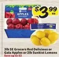 Winn Dixie SE Grocers Red Delicious or Gala Apples or Sunkist Lemons offer