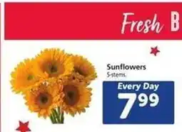 Safeway Sunflowers offer