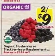 Winn Dixie Organic Blueberries or Blackberries or Raspberries offer