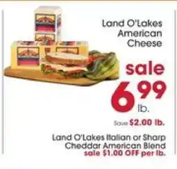 Giant Eagle Land O Lakes American Cheese offer