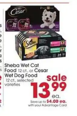 Giant Eagle Sheba Wet Cat Food 12 ct. or Cesar Wet Dog Food offer