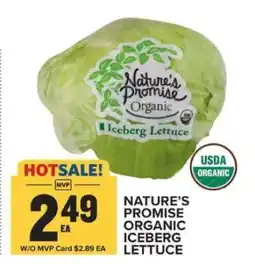 Food Lion NATURE'S PROMISE ORGANIC ICEBERG LETTUCE offer