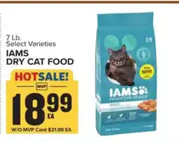 Food Lion Iams Dry Cat Food offer