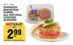 Food Lion Springer Mountain Farms All Natural Chicken Burgers offer