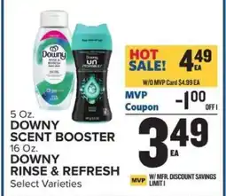 Food Lion Downy Scent Booster & Downy Rinse & Refresh offer