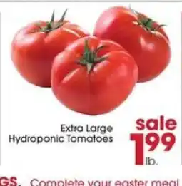 Giant Eagle Extra Large Hydroponic Tomatoes offer