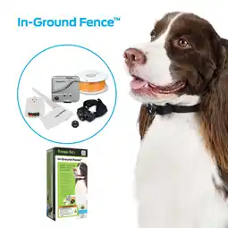 Walmart Premier Pet In-Ground Fence for Dogs, Customizable .33 Acre Barrier, Waterproof Collar, Gray offer