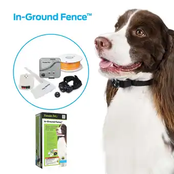 Walmart Premier Pet In-Ground Fence for Dogs, Customizable .33 Acre Barrier, Waterproof Collar, Gray offer